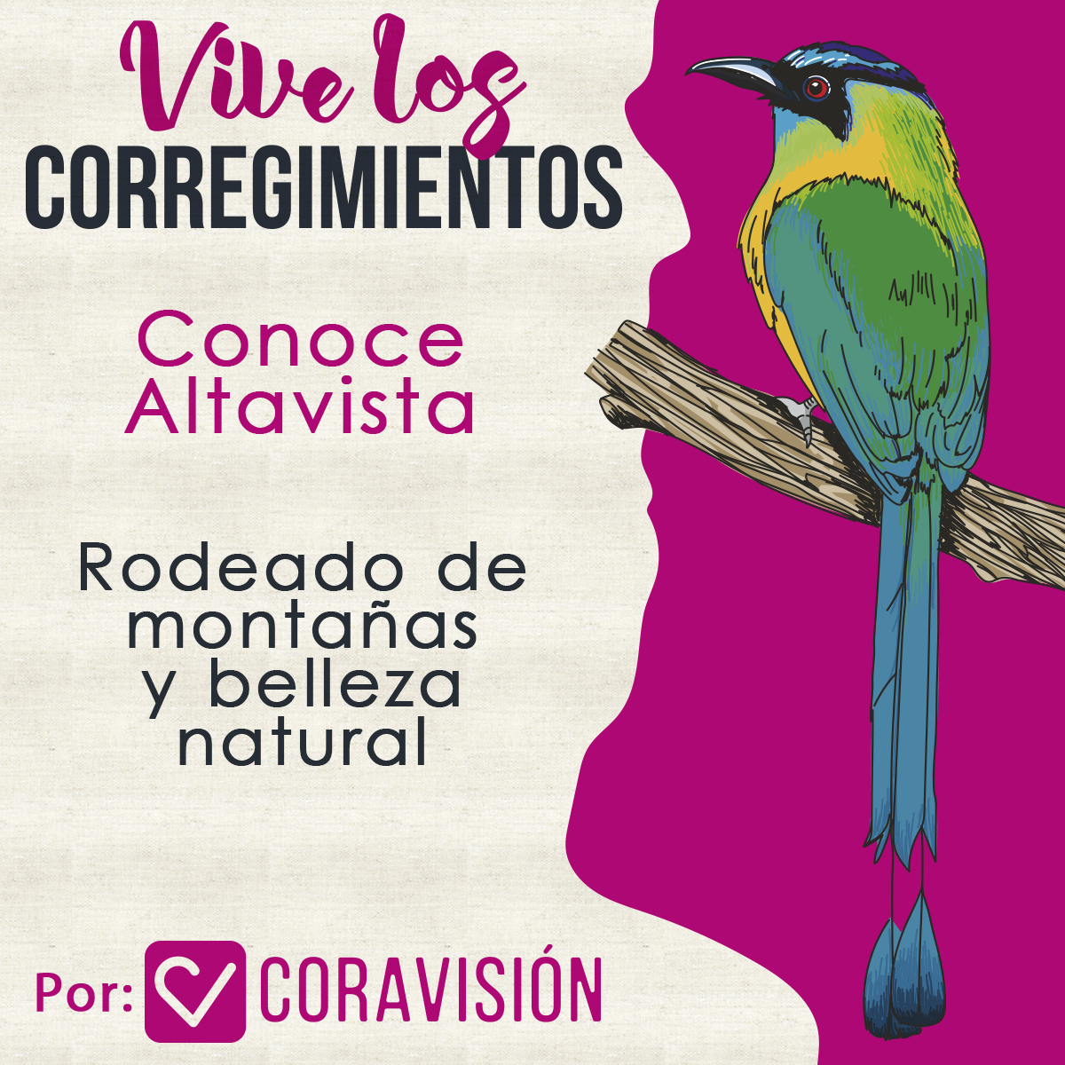 Vive los corregimientos - Altavista - Coravisión TV