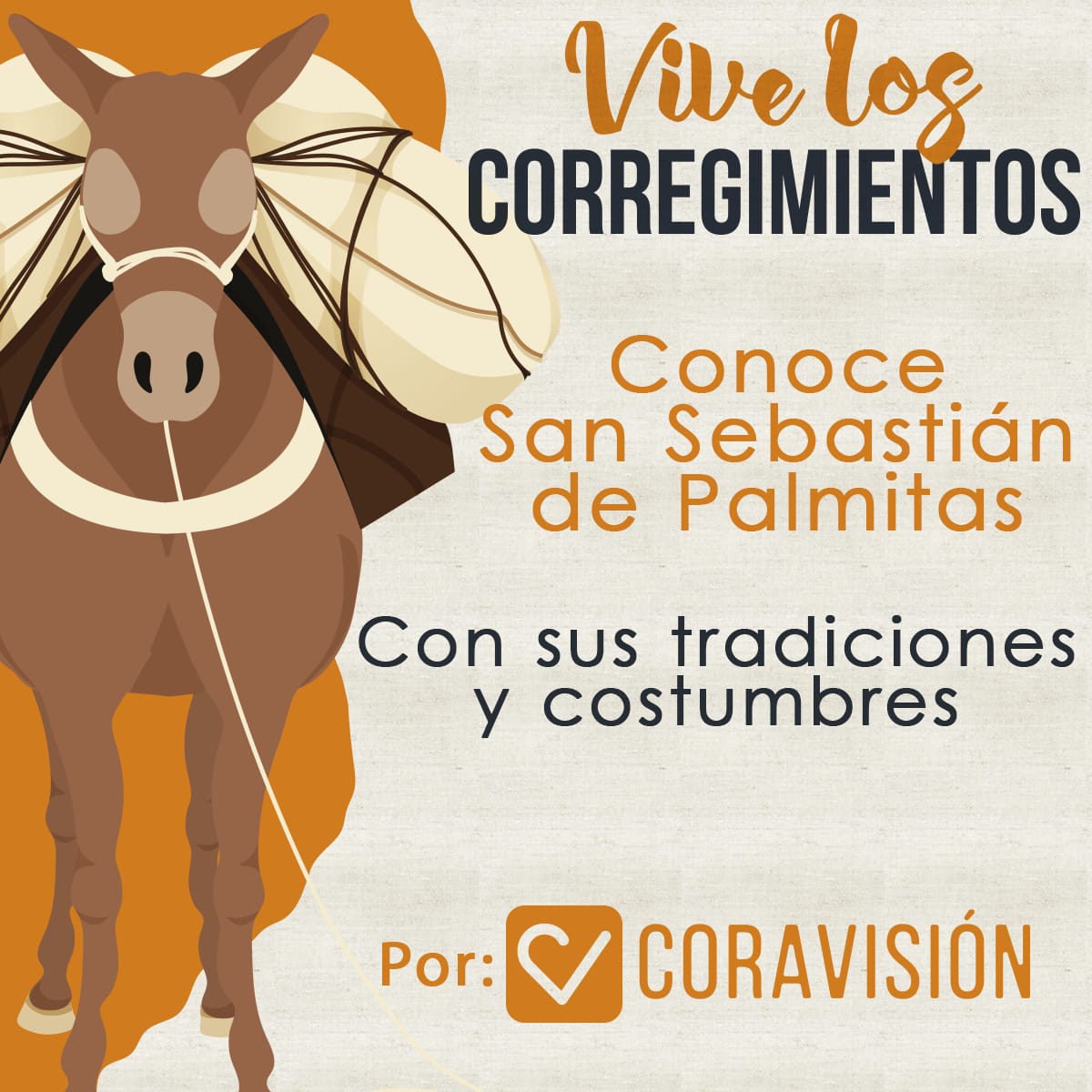 Vive los corregimientos - San Sebastián de Palmitas - Coravisión TV