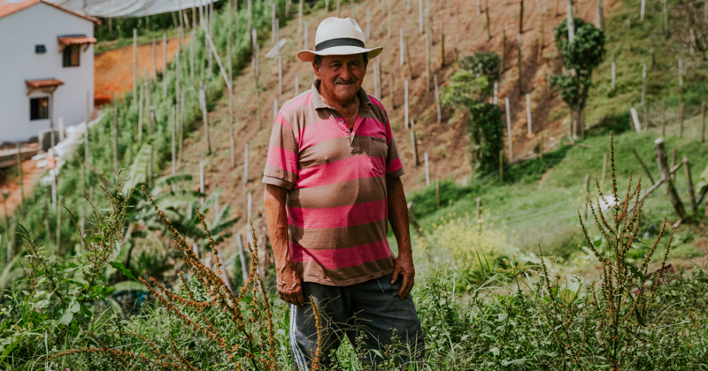 La alegría campesina en la tierra