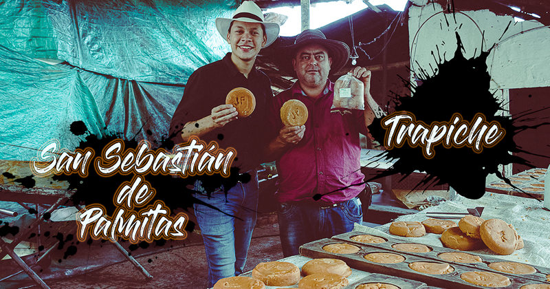 La mejor panela del trapiche Palmitas