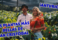 ANTURIOS Coravisión TV