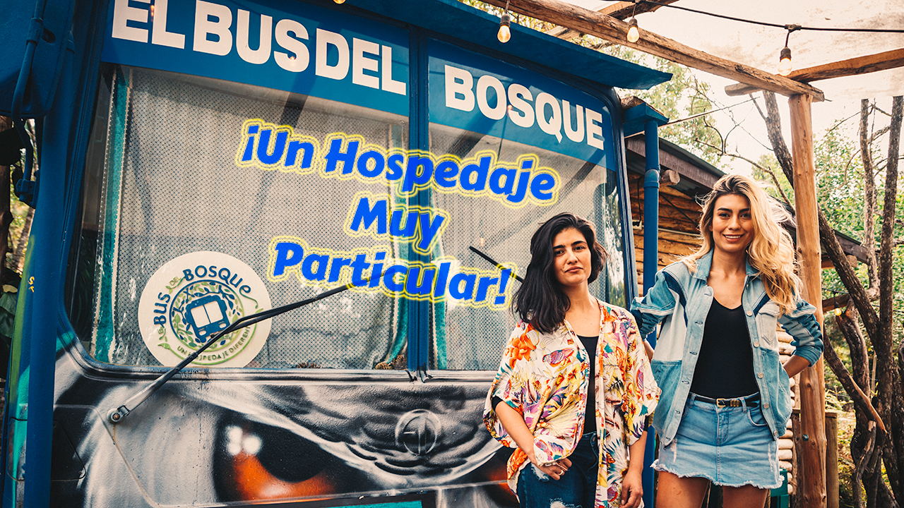 Un hospedaje diferente - El bus del bosque